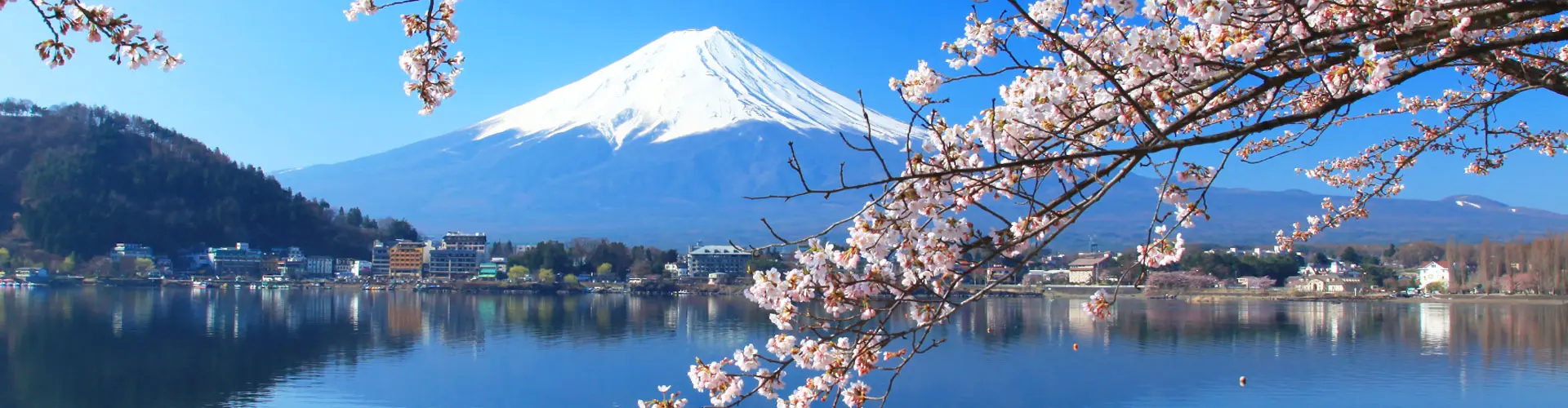 Liên tuyến Hàn - Nhật