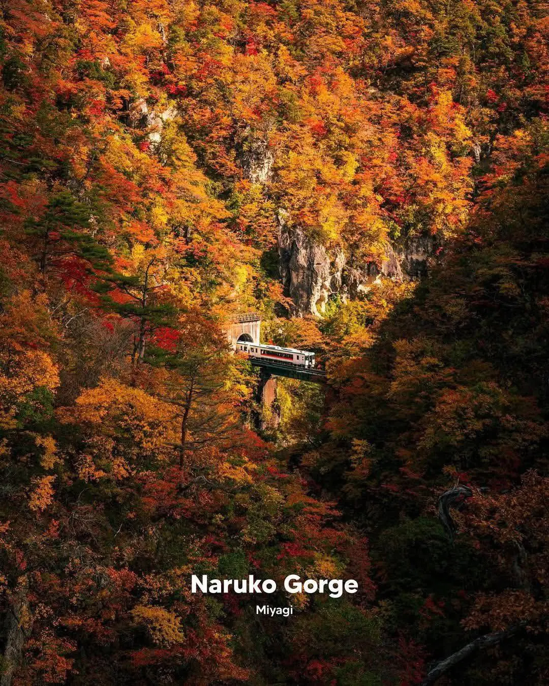 Nhật Bản - Mùa thu đẹp hết nấc